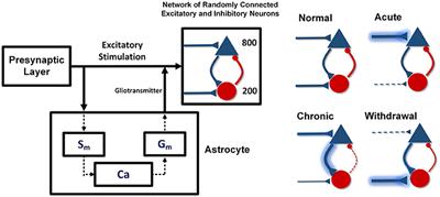 Formation of Opioid-Induced Memory and Its Prevention: A Computational Study